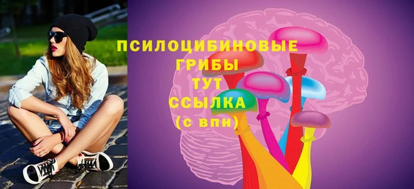 индика Нягань