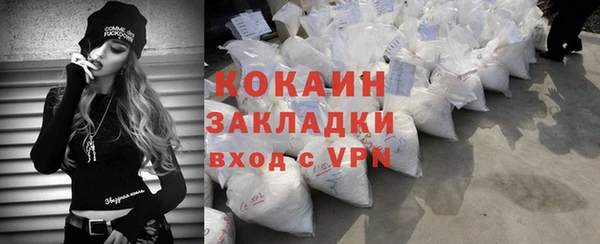 индика Нягань