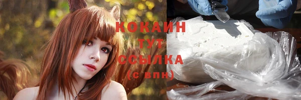индика Нягань