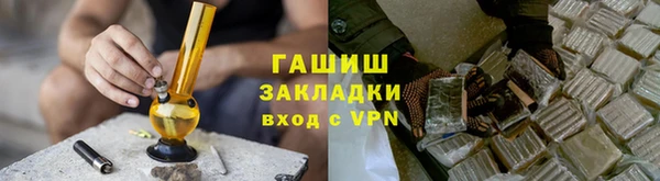 индика Нягань