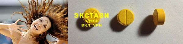 индика Нягань