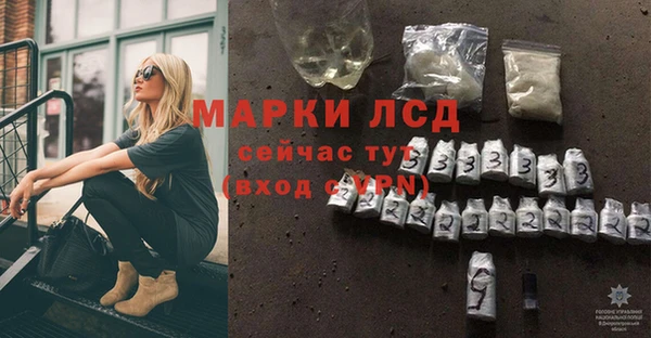 индика Нягань
