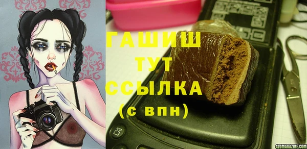 индика Нягань