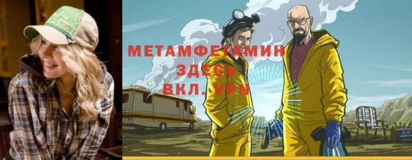 индика Нягань