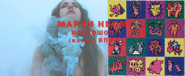 индика Нягань