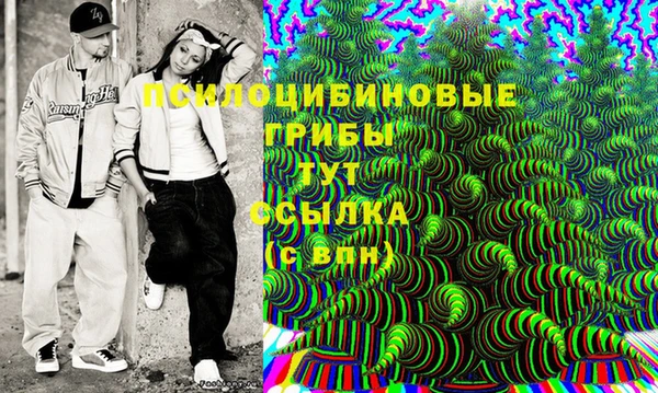 мдпв Нязепетровск